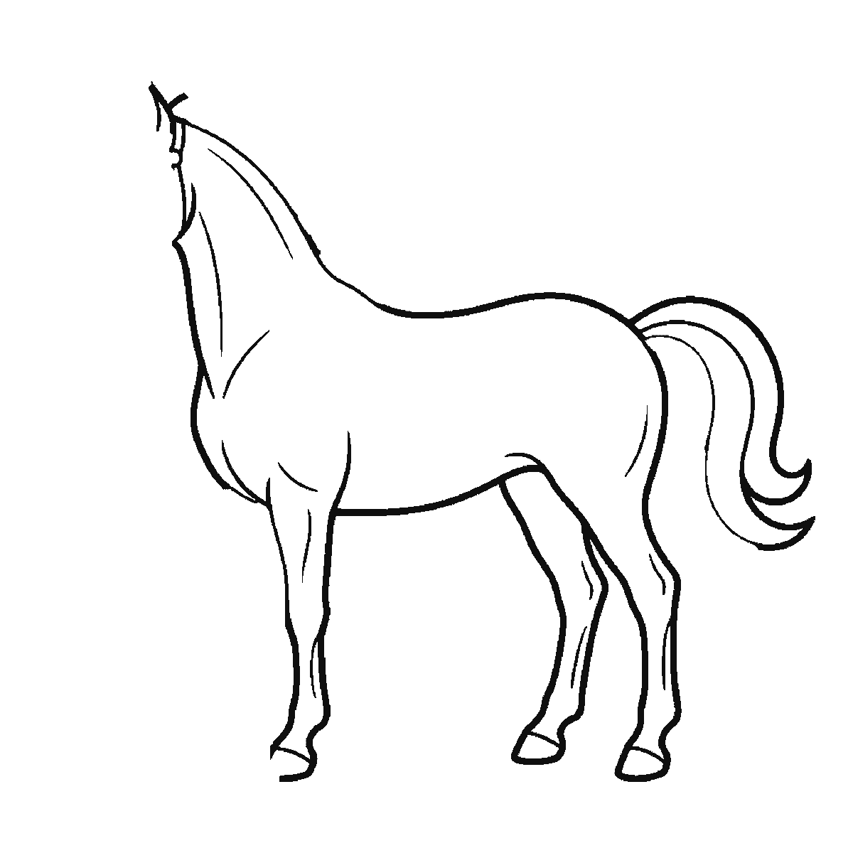 Paso 3 de 6: Paso 3 de 6: Lámina de dibujo paso a paso: un caballo de pie visto de perfil, con un ojo redondo de pupila rellena, un ronzal en la cabeza, y las crines y la cola formando mechones ondulados, contornos negros sobre blanco.