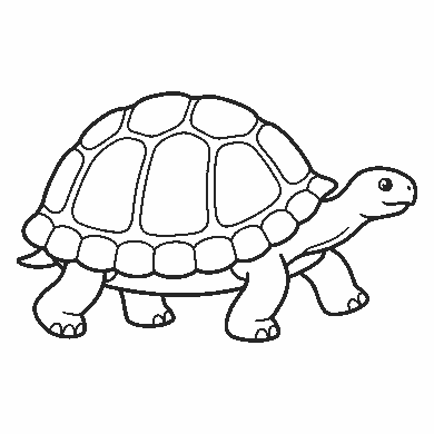 Lámina para calcar: el contorno muestra una tortuga de tierra caminando de perfil hacia la derecha. El caparazón es una cúpula alta dividida en placas: unas grandes en el centro y una hilera de placas más pequeñas por todo el borde, cada una cerrada por su cuenta. La cabeza sale hacia delante sobre un cuello grueso, con un ojo redondo y una boca curva. Las cuatro patas son anchas y planas, con las uñas marcadas.