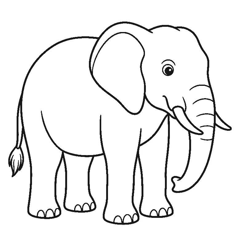 Lámina para calcar: un elefante de pie visto de perfil, con un ojo redondo de pupila rellena, una oreja grande con el contorno interior marcado, la trompa larga y curvada con varios pliegues, un colmillo curvo visible, las cuatro patas con las uñas marcadas y una cola corta con un mechón en la punta, contornos negros sobre blanco.