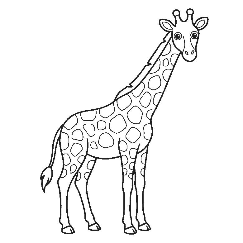 Lámina para calcar: una jirafa de pie y de perfil con la cabeza girada hacia quien mira, dos ojos redondos de pupila rellena, el cuello muy largo, dos cuernos cortos y redondeados, dos orejas, una melena a lo largo de la nuca, las cuatro patas con pezuñas oscuras, la cola con un mechón y manchas repartidas por el cuello y el cuerpo, contornos negros sobre blanco.
