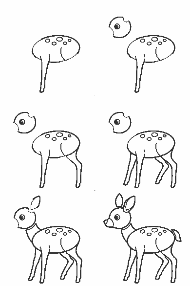 Lámina de dibujo paso a paso: el ciervo joven está de pie y de perfil, mirando hacia la izquierda. Se le ve un solo ojo, redondo y con la pupila rellena. Tiene dos orejas largas y puntiagudas, una de ellas con el interior marcado, y un hocico pequeño y romo. El lomo es un óvalo alargado con varias manchas redondas dibujadas como formas cerradas separadas. Las cuatro patas son finas, y las dos traseras se doblan a la altura del corvejón. La cola es corta y curva.