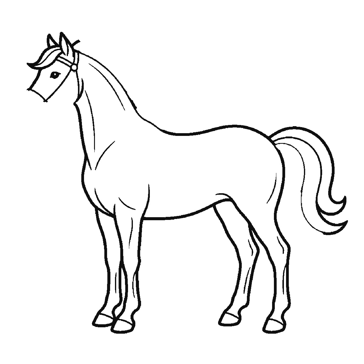 Paso 4 de 6: Paso 4 de 6: Lámina de dibujo paso a paso: un caballo de pie visto de perfil, con un ojo redondo de pupila rellena, un ronzal en la cabeza, y las crines y la cola formando mechones ondulados, contornos negros sobre blanco.