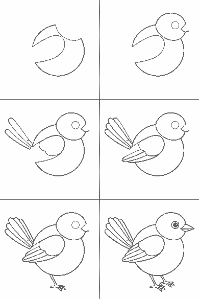 Lámina de dibujo paso a paso: el pájaro está de perfil, mirando hacia la derecha, con el cuerpo redondo apoyado sobre dos patas finas. Se le ve un ojo redondo con la pupila rellena y un pico corto y triangular. El ala plegada tiene una cobertera redondeada y cinco plumas largas. La cola se abre hacia atrás en varias plumas, cada una con su propio contorno y la punta redondeada.