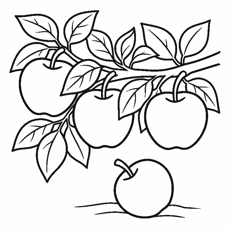 Lámina para calcar: tres manzanas grandes y redondas colgando de una rama muy frondosa con numerosas hojas, cada manzana con un rabillo curvado, y una cuarta manzana en el suelo debajo, contornos negros sobre blanco.